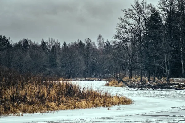 Río de invierno orillas cubiertas de hielo —  Fotos de Stock