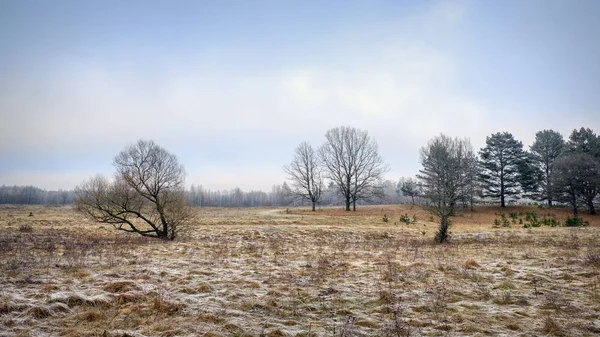 Zimní pole mrazivé ráno za úsvitu. — Stock fotografie