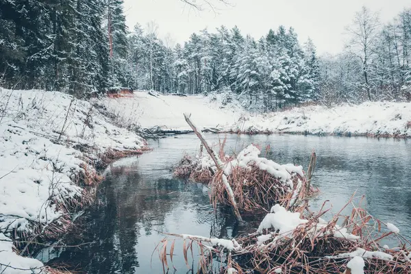 La prima neve ricoprì il fiume nella foresta . — Foto Stock