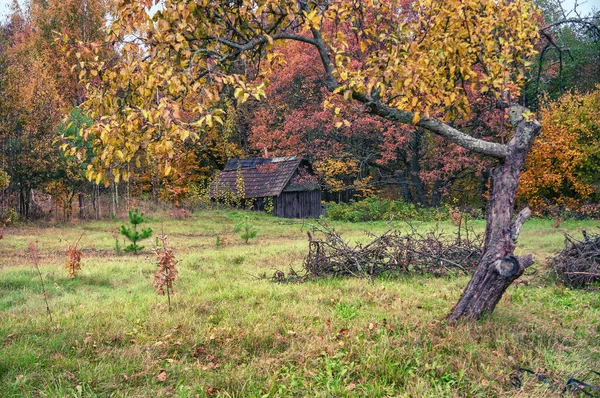 Casa velha em bosque de outono . — Fotografia de Stock