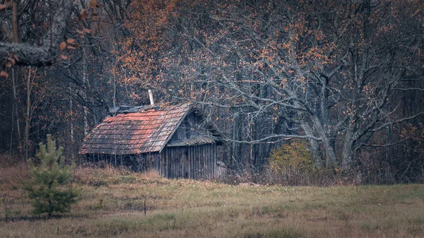 Casa Abandonada Bosque Outono — Fotografia de Stock