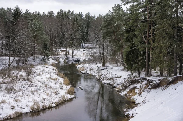 Mała Rzeka Śnieżnym Lesie Zimowym — Zdjęcie stockowe