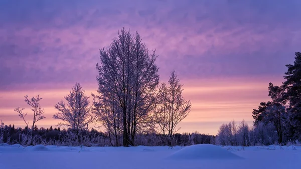冬の川での日の出 — ストック写真