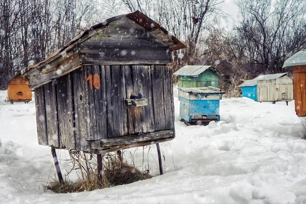 Κυψέλες μελισσών το χειμώνα. Λευκορωσία. — Φωτογραφία Αρχείου