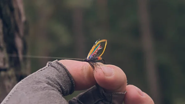 Vuele en busca de salmón. Pesca en una mosca artificial . — Foto de Stock