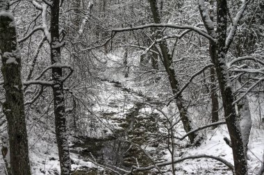 Karlı bir kış ormanında küçük bir nehir