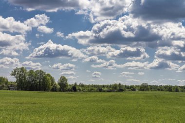 Village. Summer landscape. The nature of Belarus.