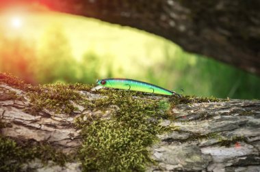 Belarus. Minsk region. Berezina river. July 28.2017  Wobbler bra
