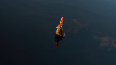 Kancaya. Bir iplik çubuk için balıkçılık