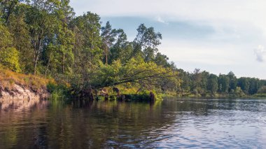The Berezina River. The nature of Belarus.