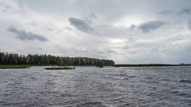Waves on the autumn lake.