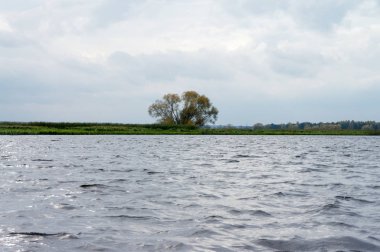 Waves on the autumn lake. 