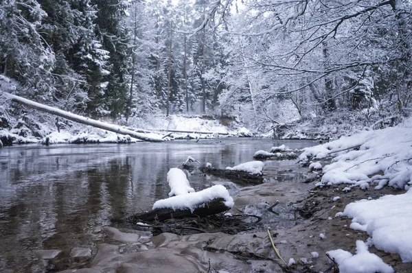 Piccolo fiume in una foresta invernale innevata — Foto Stock