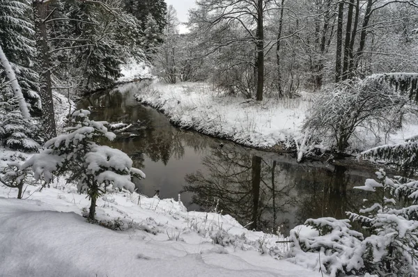 Piccolo fiume in una foresta invernale innevata — Foto Stock