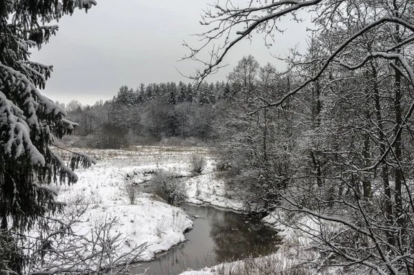 Маленькая река в снежном зимнем лесу — стоковое фото