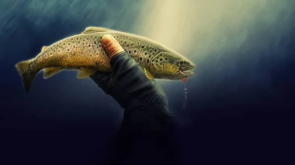 A horog. Halászati. — Stock Fotó