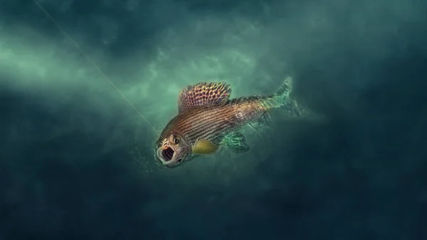 Grayling en el gancho. Pesca con mosca . — Foto de Stock