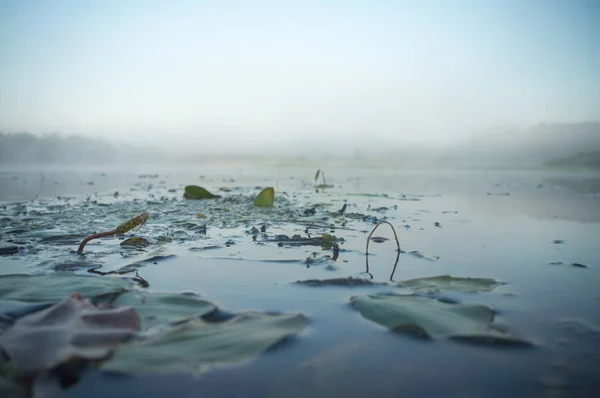 Um amanhecer enevoado no rio . — Fotografia de Stock