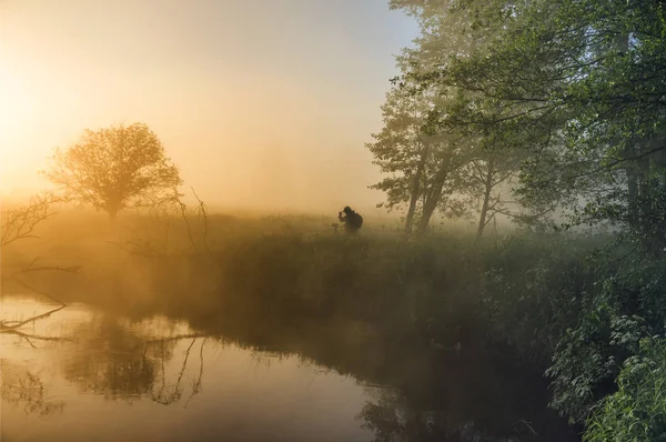 Прекрасний туманний світанок на маленькій річці . — стокове фото