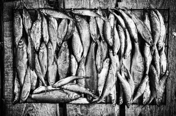 Pequenos Peixes Fumados Fotografia Preto Branco — Fotografia de Stock