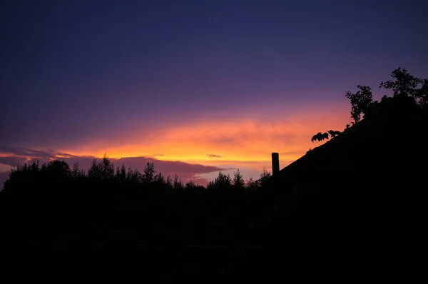 Silhouettes d'arbres au coucher du soleil . — Photo