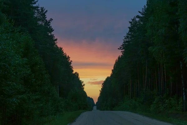Droga leśna o zachodzie słońca. — Zdjęcie stockowe