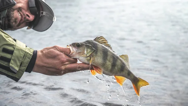 Риба в руці рибалки. Риболовля . — стокове фото