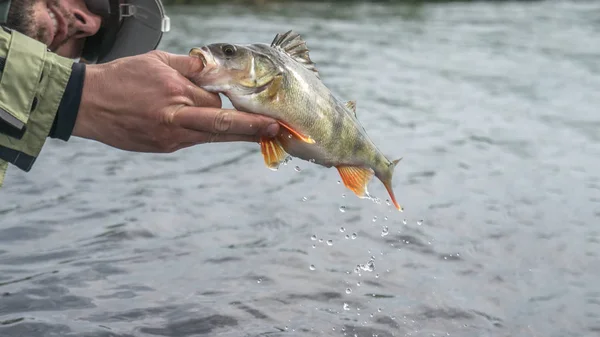 Fiska i hand fiskare. Fiske. — Stockfoto