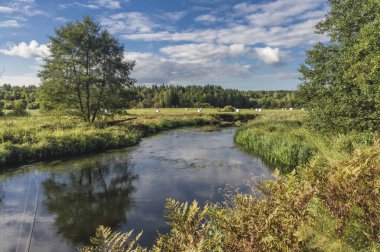 Little beautiful forest river. The nature of Belarus.