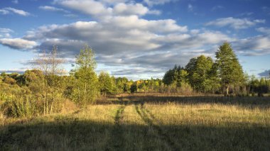 Autumn meadow. The nature of Belarus.