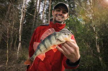 Fisherman with perch. Fishing with spinning.