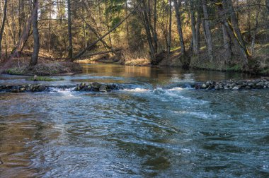 Bir vadide akan bahar Nehri. 