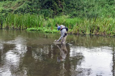 Balıkçı, Tenkara 'yı güzel bir orman deresinde yakalar..