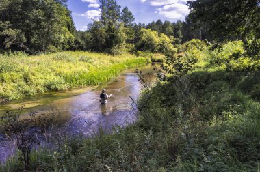 Küçük nehir ormanlarında balıkçı