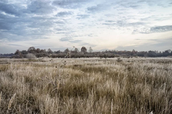 Podzim Pole Mrazech Dawn — Stock fotografie