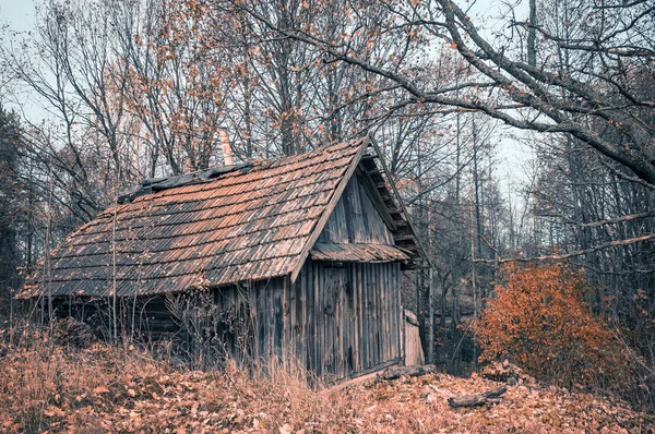 Opuštěný Dům Podzimní Háj — Stock fotografie