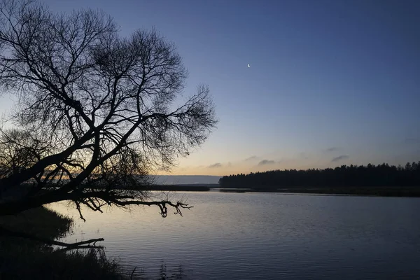 Siluetas Árboles Sobre Lago Buenas Noches — Foto de Stock