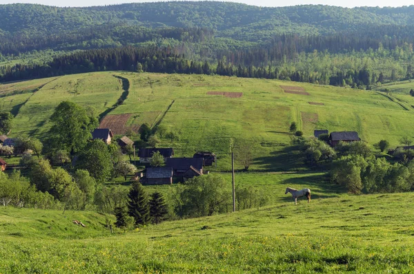 Сельский пейзаж в горной долине . — стоковое фото