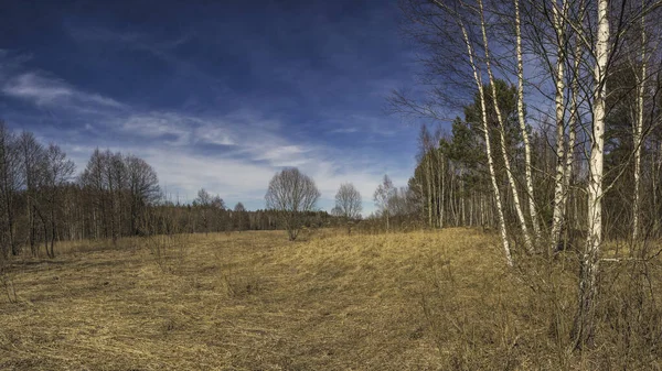 Sešívané Panorama Jarní Pole Krajina — Stock fotografie