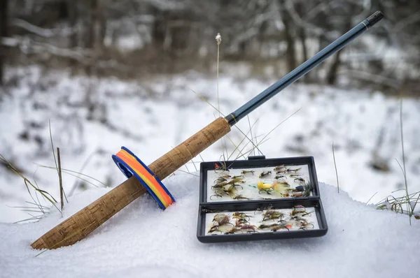 Tenrara Caixa Mosca Pesca Uma Mosca Artificial — Fotografia de Stock