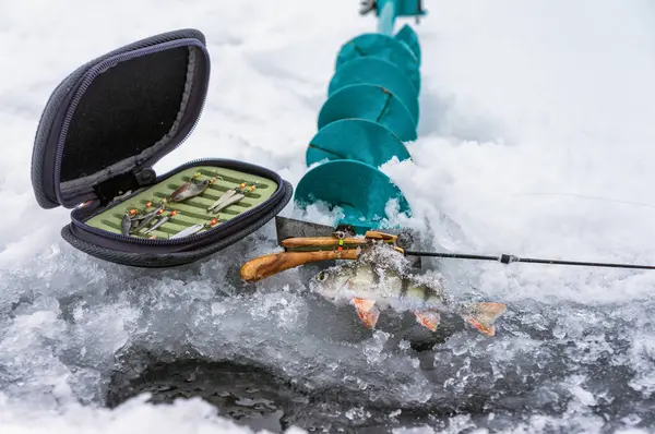 Combattimenti per la pesca invernale . — Foto Stock