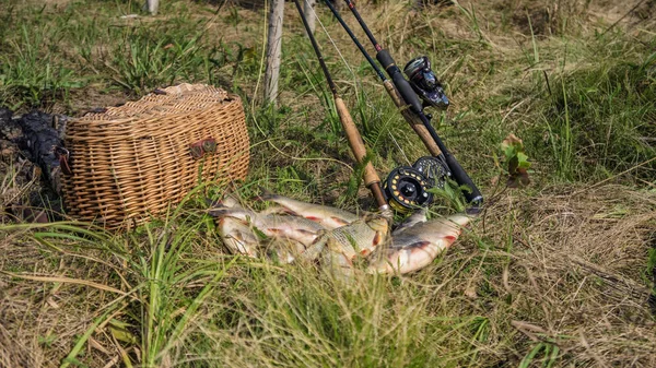 Troféus Pesca Pesca Com Fiação — Fotografia de Stock