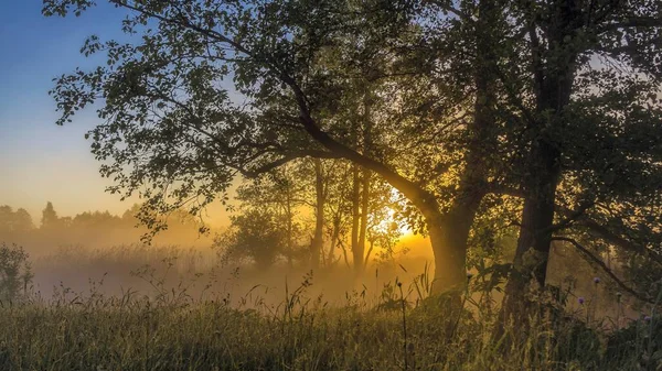 Vackra misty dawn vid den lilla floden. — Stockfoto