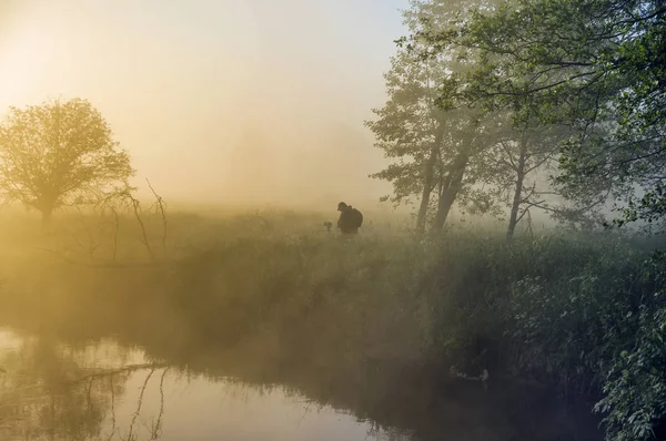 Прекрасний туманний світанок на маленькій річці . — стокове фото