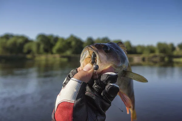 Fishing Trophies Fishing Spinning — Stok fotoğraf