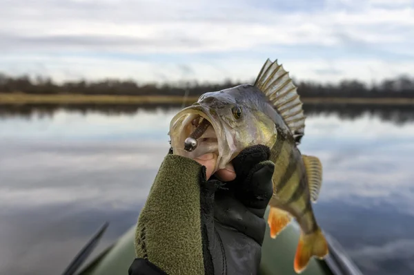 Fishing Trophies Fishing Spinning — Stockfoto