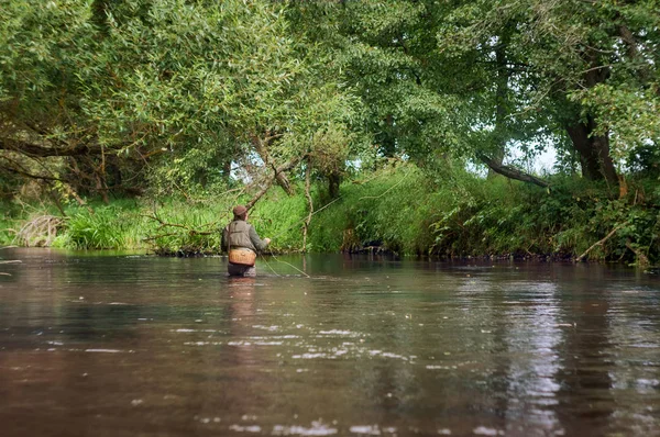 Pescador pega uma mosca no belo rio da floresta . — Fotografia de Stock