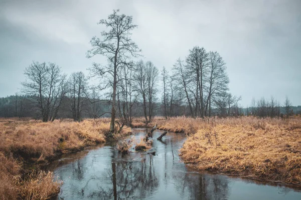 La rivière coule à travers la vallée d'automne . — Photo