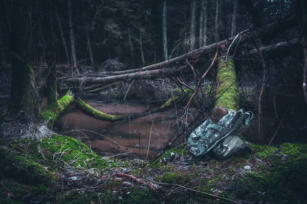 Chytat pstruhy v lesním potoce. Rybaření s rotací — Stock fotografie