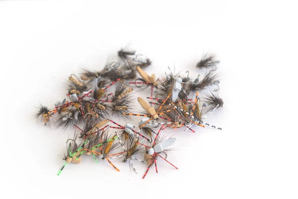 Dry flies for fishing on a white background. — ストック写真